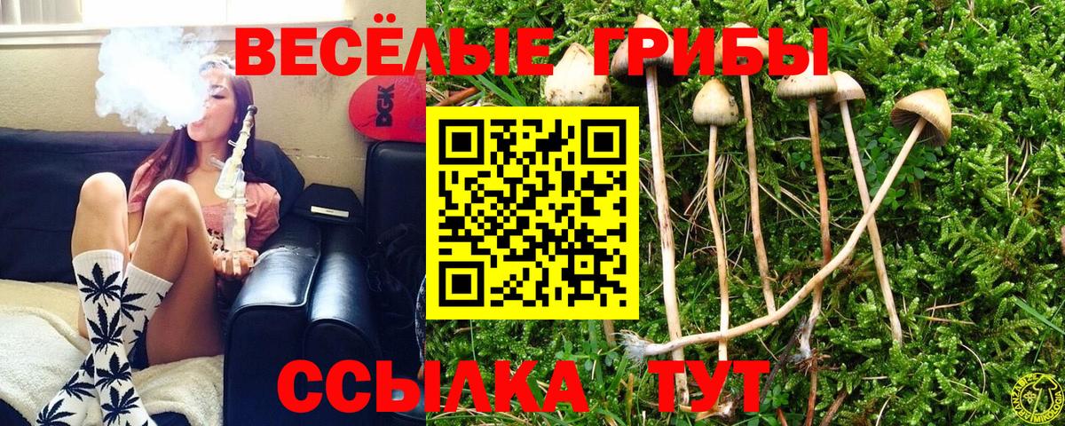 Усолье-Сибирское  Галлюциногенные грибы GOLDEN TEACHER  Галлюциногенные грибы Psilocybine cubensis  Вход с VPN 
